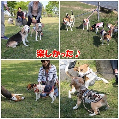 楽しかった