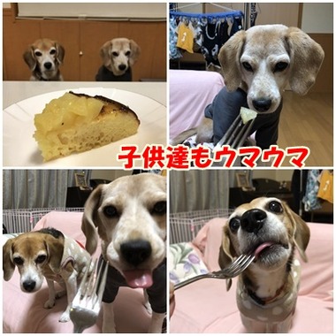 ケーキ2