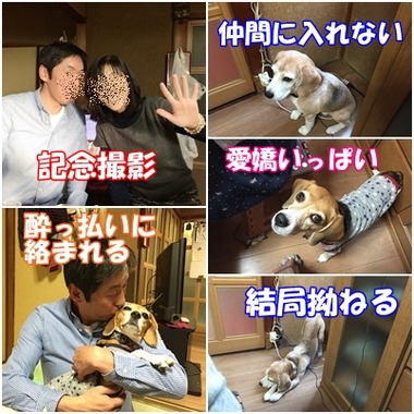 ブラボー会