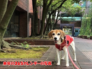 IMG_6685 (1)