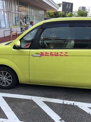 4B2CF471-02F5-460B-89E6-AC5C7637BEF6