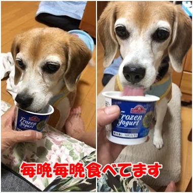 フローズンヨーグルト