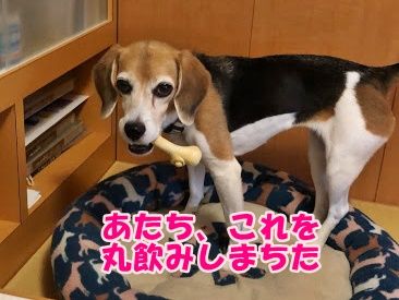 FA3CC1FF-A955-4872-ACF6-E519C7EF03FE