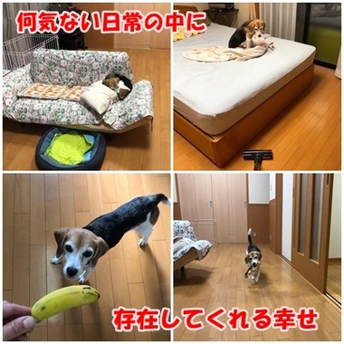 何気ない日常