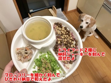 1月28日夜