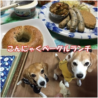 こんにゃく2回目