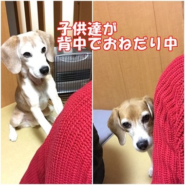 ガン見