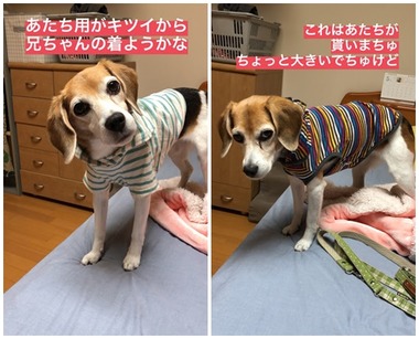 形見2