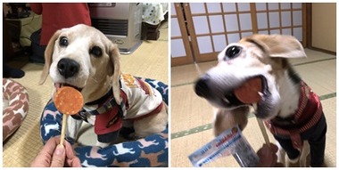 ガム