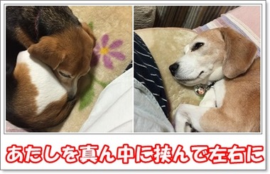 左右