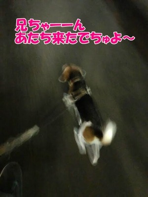 IMG_9611 (1)
