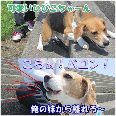 バロン2