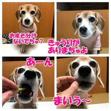 たけのこきゅうり