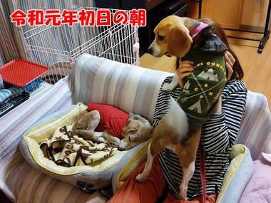 IMAG0953