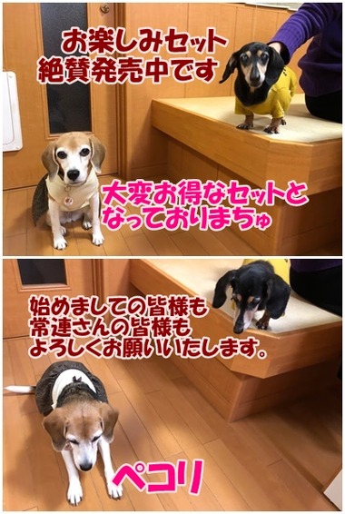 女子