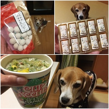 ひびこSNS