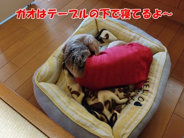 IMAG0967