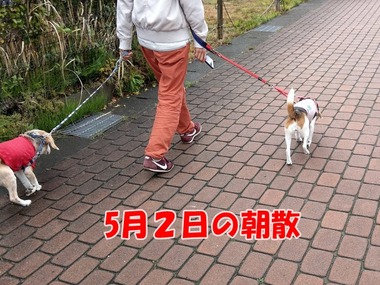 IMAG0997