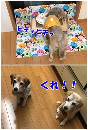 3月10日