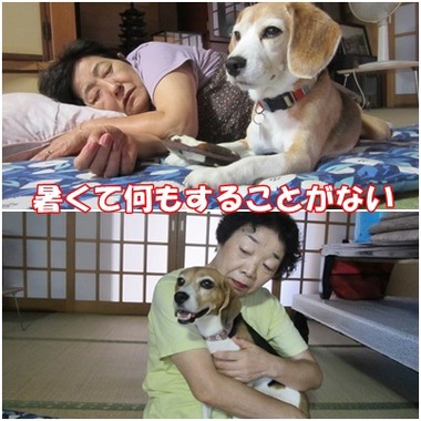 7月末婆ちゃんズ