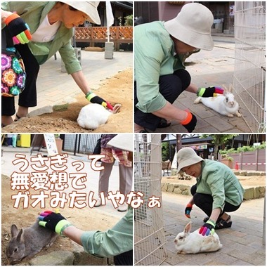 紀子オバ うさぎ