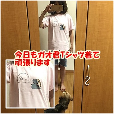 Tシャツ