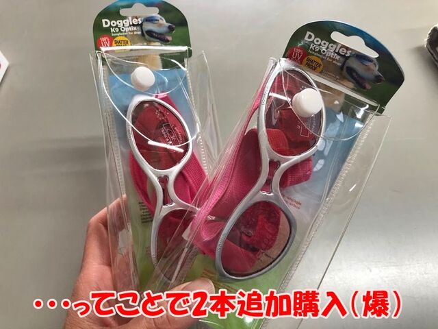 6日目は大失敗が発覚しまちた ガオだらけな日々