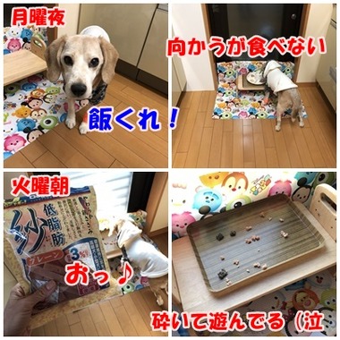月曜夜火曜朝