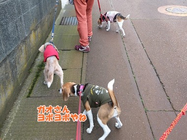 IMAG0954