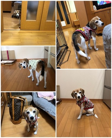 乗り移る