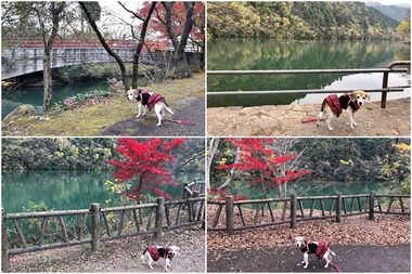 水記念公園