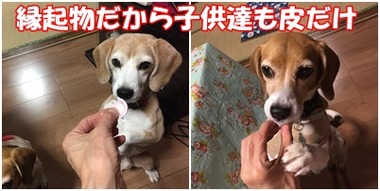 福梅