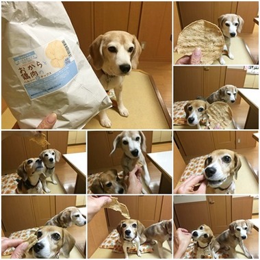 おから