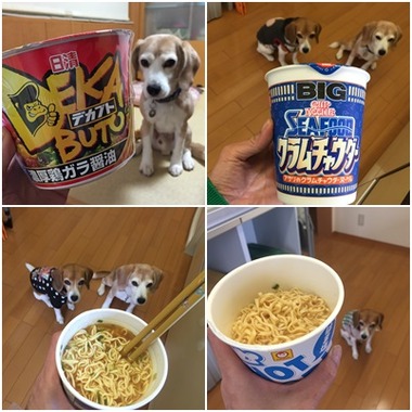 カップ麺