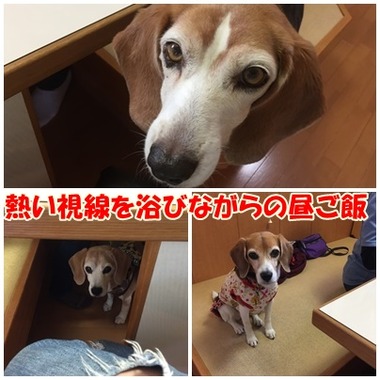 視線
