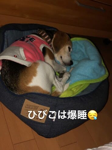 23B5EB5E-807E-476D-8A42-240F14A356B9