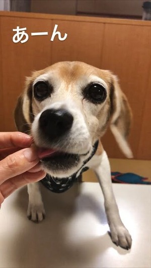 96D5551E-050A-49FE-A6E7-13B520DECBB1