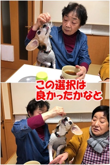 12月30日