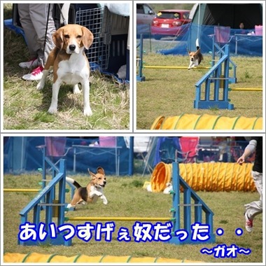 ddeecd6608917521925c61a87a57daec