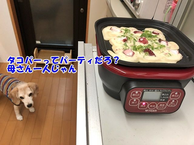 半泣きタコパー ガオだらけな日々 半泣きタコパー ガオだらけな日々