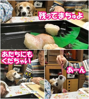 寿司