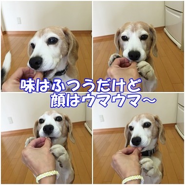 小豆ケーキガオ
