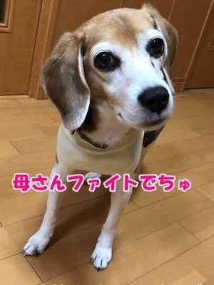 E1EC0D35-13DB-415E-9C7A-4262128AB27F