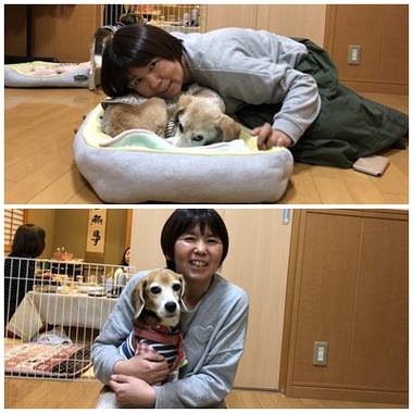 ぴい