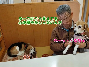 IMAG0935