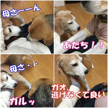 モテモテ