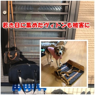 ヴィトン