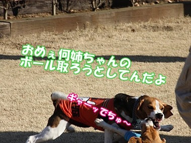 d94ac297d4734f35fbbbf9c88ff5a6fb