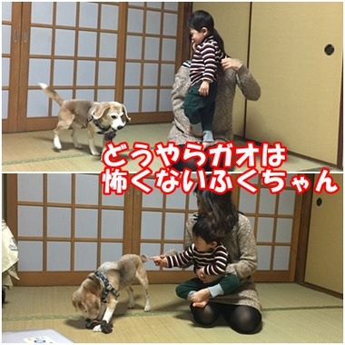 ガオ ふくちゃん