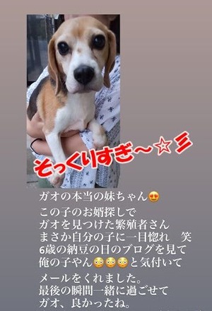 1C321953-AD19-4C58-8C37-992D7DD71E2B
